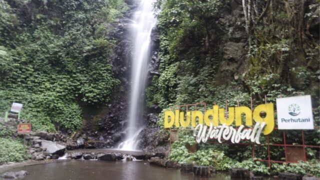 Air terjun dlundung