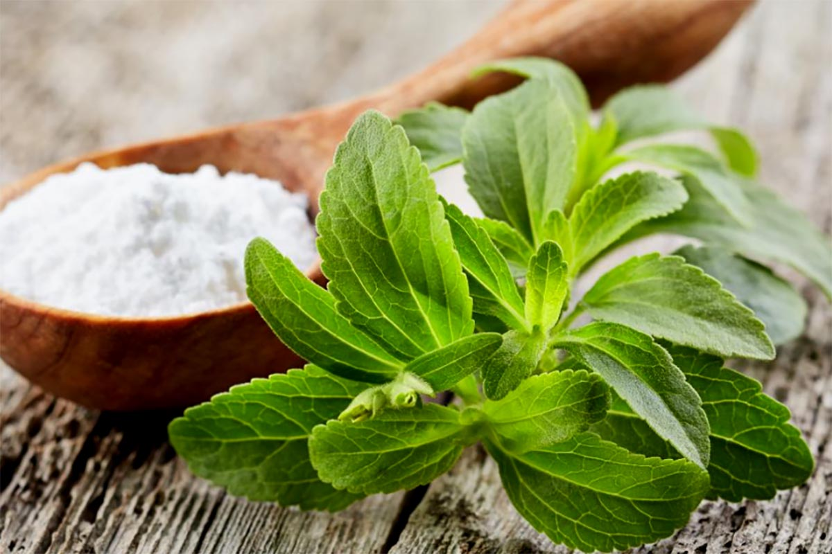 stevia