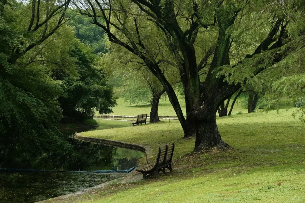 Pelarian Sempurna: Menemukan Ketenangan