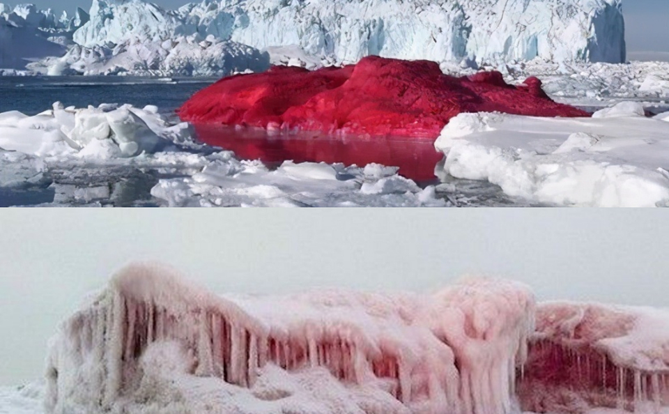 Hujan Darah hingga Salju Merah