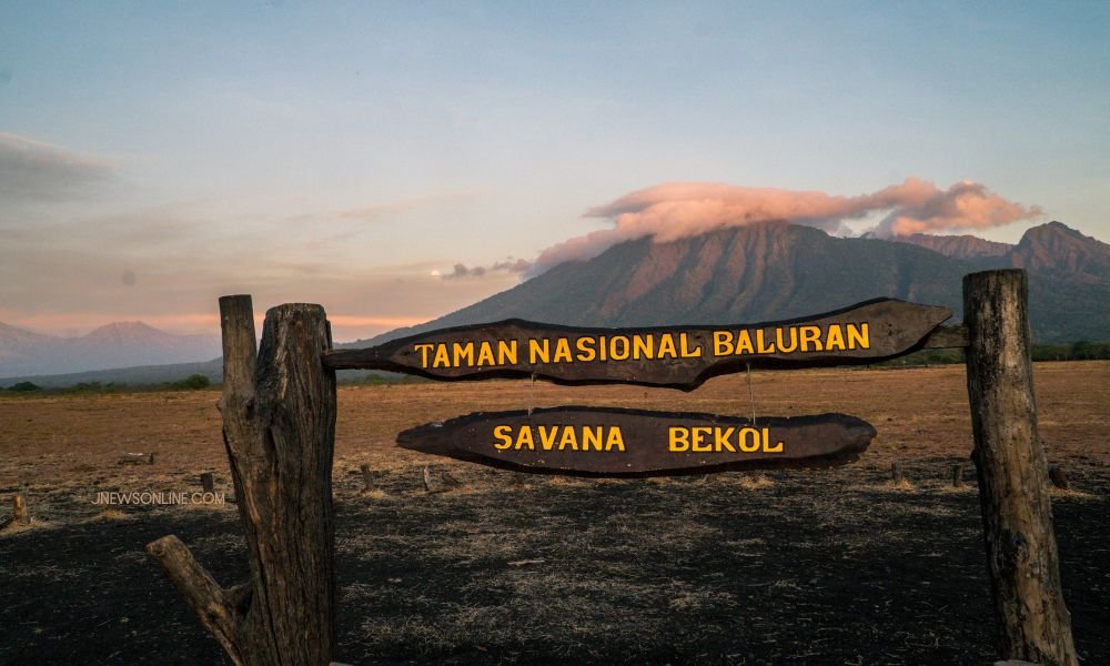 Taman Nasional Baluran