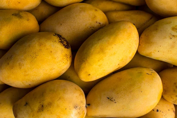 Mangga Carabao