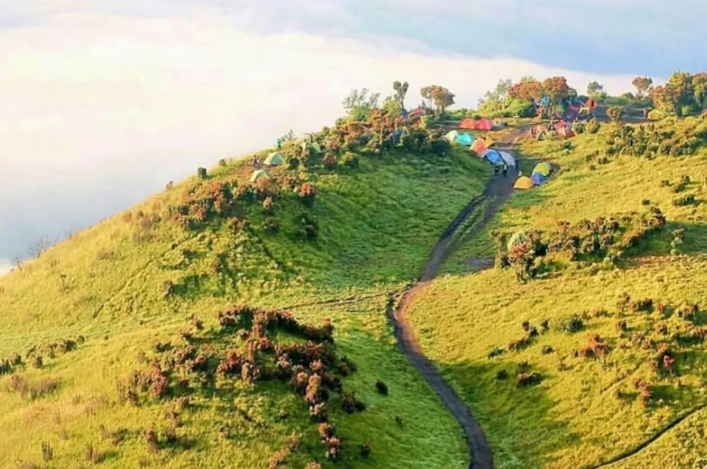 Merbabu