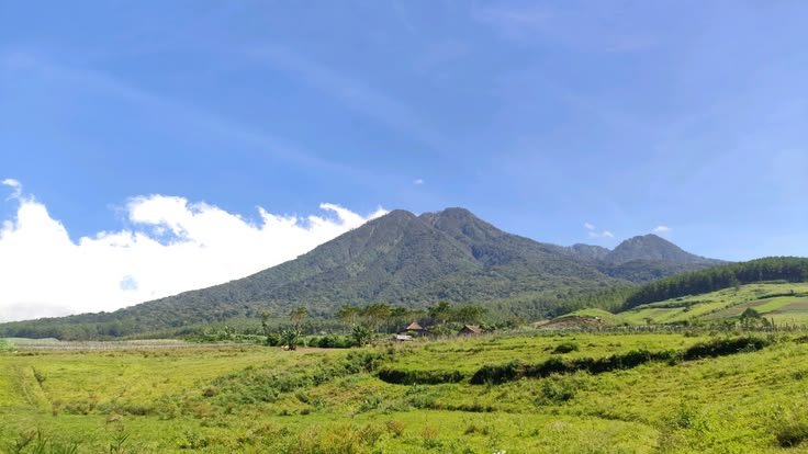 Gunung Kawi
