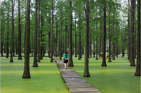 luyanghu wetland park